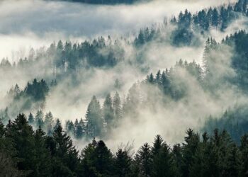 Parashikimi i motit për sot – e hënë