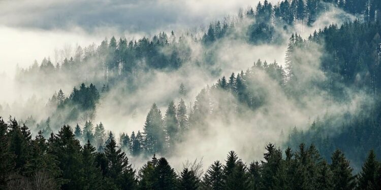 Parashikimi i motit për sot – e hënë