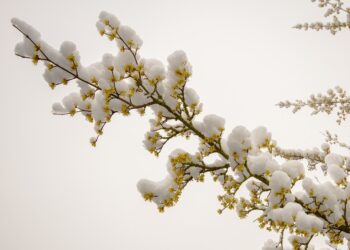 Afrohet fronti i ftohtë i pasuar nga temperatura polare dhe borë!