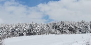 Moti nesër dhe ditëve në vazhdim! (08.04.2025.) E Martë