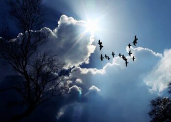 Parashikimi i motit për sot – e hënë