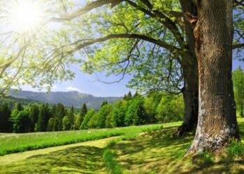 Parashikimi i motit për sot – e diel