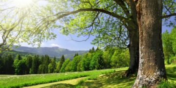 Parashikimi i motit për sot – e diel