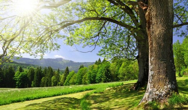 Parashikimi i motit për sot – e diel