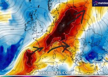 Moti javor, fundi i Qershorit dhe fillimi i Korrikut!