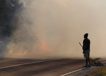 Turistët ikën, nuk ka shtëpi që nuk është dëmtuar – pasojat e zjarrit të madh në Kroaci