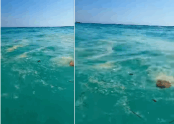 Çfarë po ndodh me detin në Shqipëri? Në një orë të ditës në gjithë bregdetin e jugut shfaqen masa të mëdha ndotje 