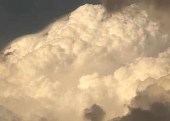 Parashikimi i motit për sot – e enjte