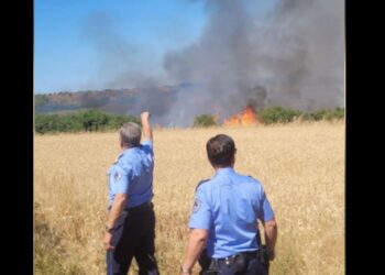 Thatësia dhe temperaturat e larta, policia me apel: mos shkaktoni zjarre!
