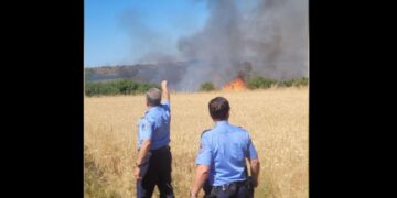 Thatësia dhe temperaturat e larta, policia me apel: mos shkaktoni zjarre!