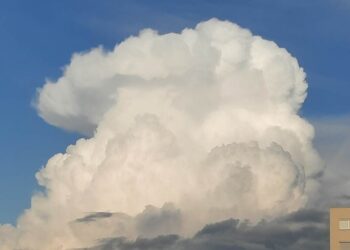 Parashikimi i motit për sot – e diel