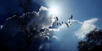 Parashikimi i motit për sot – e premte