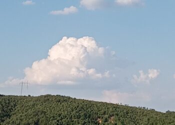 Parashikimi i motit për sot – e enjte