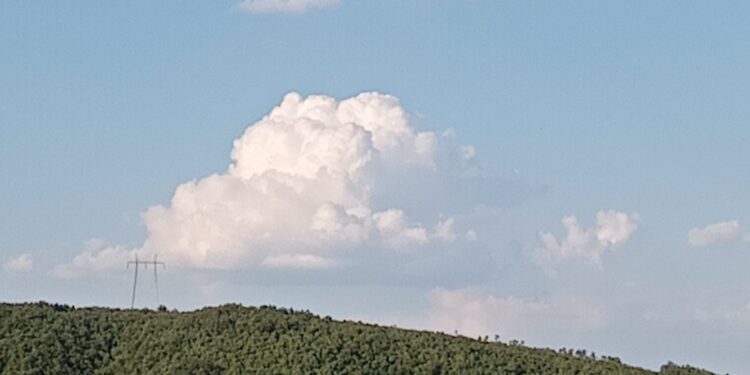 Parashikimi i motit për sot – e enjte