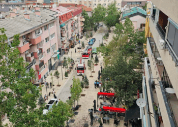 Era rrëzon një lis në qendër të Prishtinës