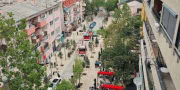 Era rrëzon një lis në qendër të Prishtinës