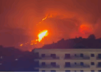 Zjarret në Shqipëri, situatë alarmante në Delvinë!