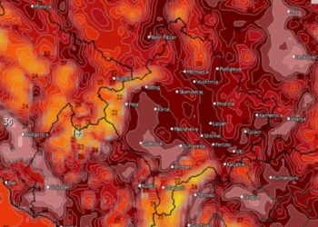 Fundi i Gushtit, moti javor!