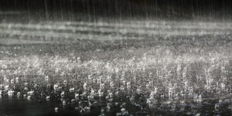 Parashikimi i motit për sot – e diel