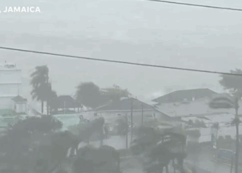 Pamje Live, uragani Melissa zbret në Xhamajka