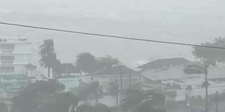 Pamje Live, uragani Melissa zbret në Xhamajka