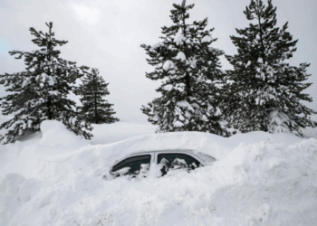 “Dimri i shekullit në Gjermani”, çfarë fshihet pas raportimeve të tilla?