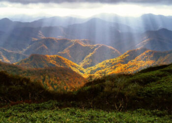 Parashikimi i motit për sot – e mërkurë