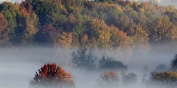 Parashikimi i motit për sot – e enjte