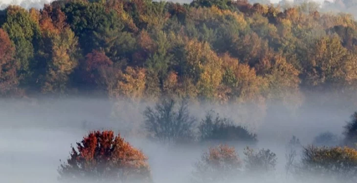 Parashikimi i motit për sot – e enjte