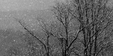 Parashikimi i motit për sot – e enjte