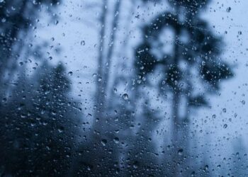 Parashikimi i motit për sot – e diel