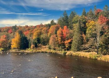 Moti për ditën e parë të Nëntorit