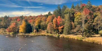 Moti për ditën e parë të Nëntorit