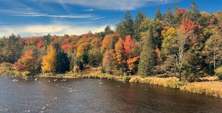 Moti për ditën e parë të Nëntorit