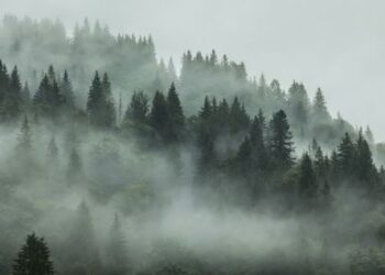 Parashikimi i motit për sot – e shtunë