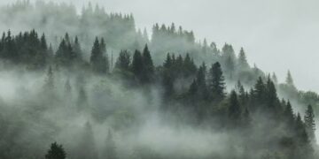 Parashikimi i motit për sot – e shtunë