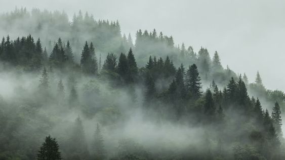 Parashikimi i motit për sot – e shtunë