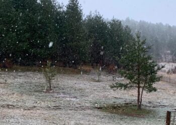 Parashikimi i motit për sot – e premte