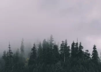 Parashikimi i motit për sot – e shtunë