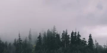 Parashikimi i motit për sot – e shtunë