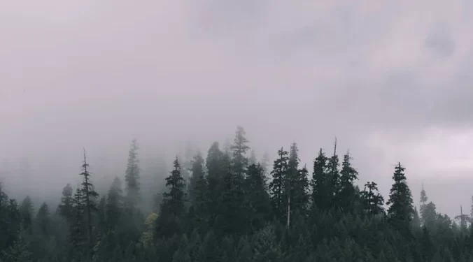 Parashikimi i motit për sot – e shtunë