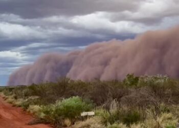 Punëtorët “kapen” nga stuhia gjigante e pluhurit, përshkruajnë momentin