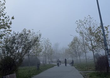 Parashikimi i motit për sot – e enjte