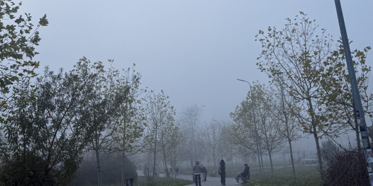 Parashikimi i motit për sot – e enjte