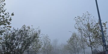 Parashikimi i motit për sot – e mërkurë