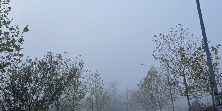 Parashikimi i motit për sot – e mërkurë