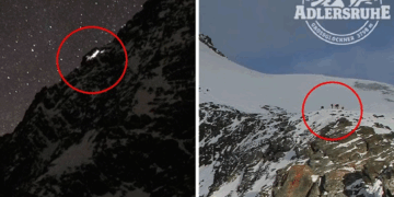 E la partneren e tij të vetme në malin më të lartë të Australisë, ajo ngriu për vdekje