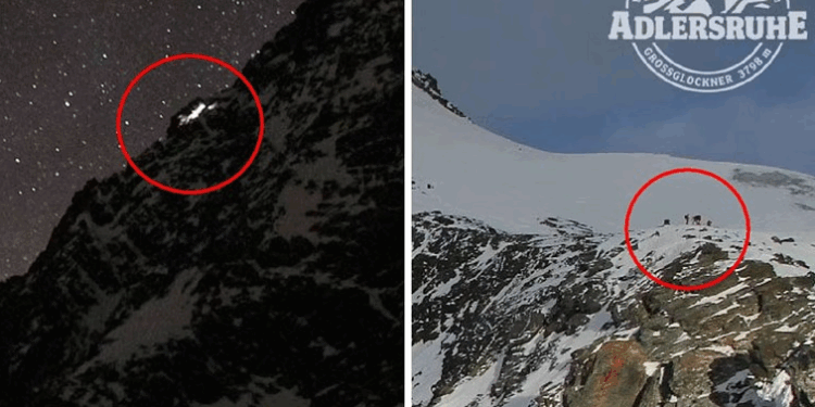 E la partneren e tij të vetme në malin më të lartë të Austrisë, ajo ngriu për vdekje