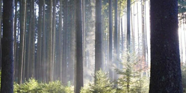 Moti nesër dhe ditëve në vazhdim! (11.12.2025.) E Enjte