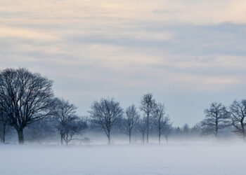 Parashikimi i motit për sot – e martë